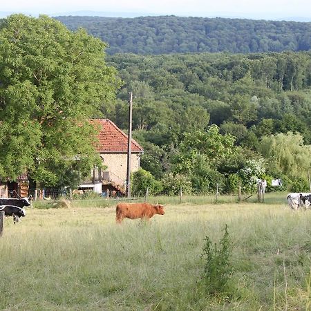 Вилла Ferme Pedagogique " L'Bout D'Chemin" Genevreuille Экстерьер фото