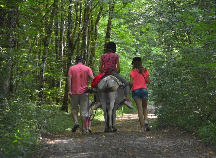 Вилла Ferme Pedagogique " L'Bout D'Chemin" Genevreuille Экстерьер фото