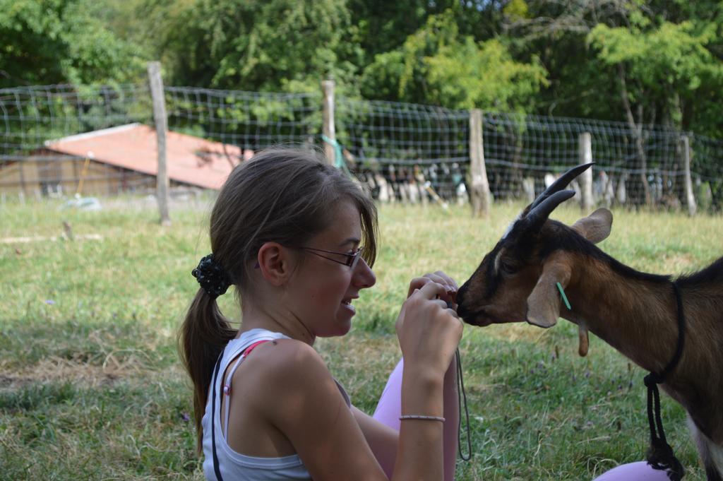 Вилла Ferme Pedagogique " L'Bout D'Chemin" Genevreuille Экстерьер фото