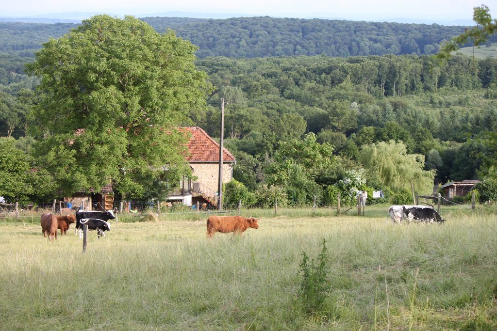 Вилла Ferme Pedagogique " L'Bout D'Chemin" Genevreuille Экстерьер фото